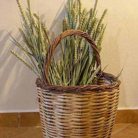 Madalena's Summer House Nyaraló *